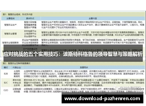 应对挑战的五个实用技巧：波斯特科格鲁的领导智慧与策略解析