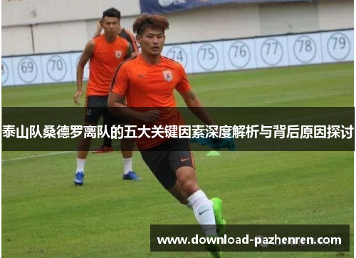 泰山队桑德罗离队的五大关键因素深度解析与背后原因探讨