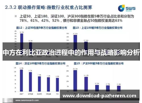 中方在利比亚政治进程中的作用与战略影响分析