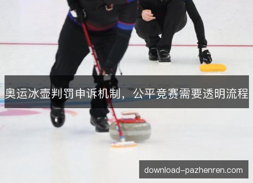 奥运冰壶判罚申诉机制，公平竞赛需要透明流程