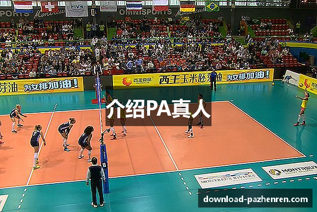 介绍PA真人